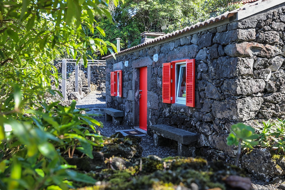 Adega Baía Azul - A essência do Pico