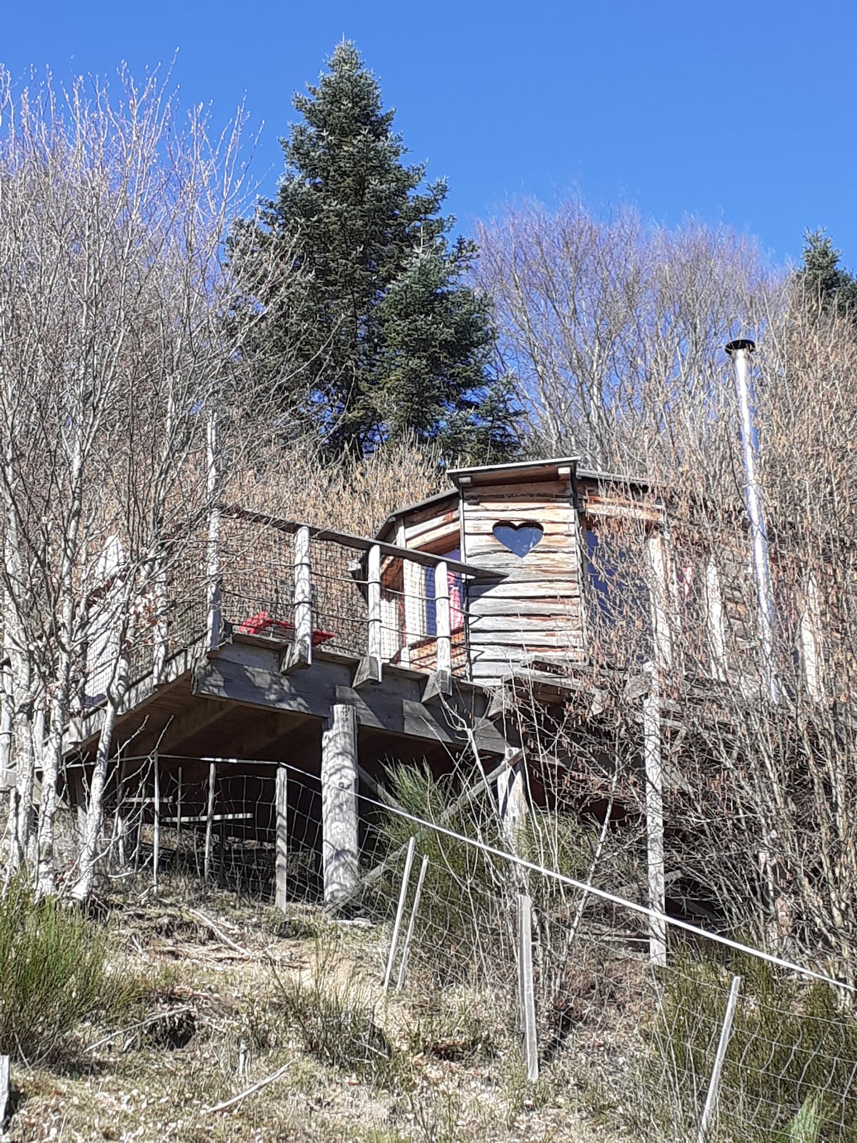 Cabane "les colibris"