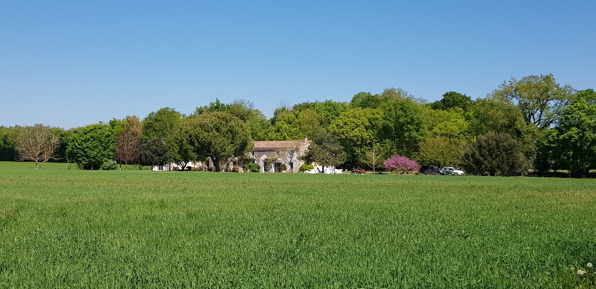 Agréable chambre d'hôtes en pleine nature