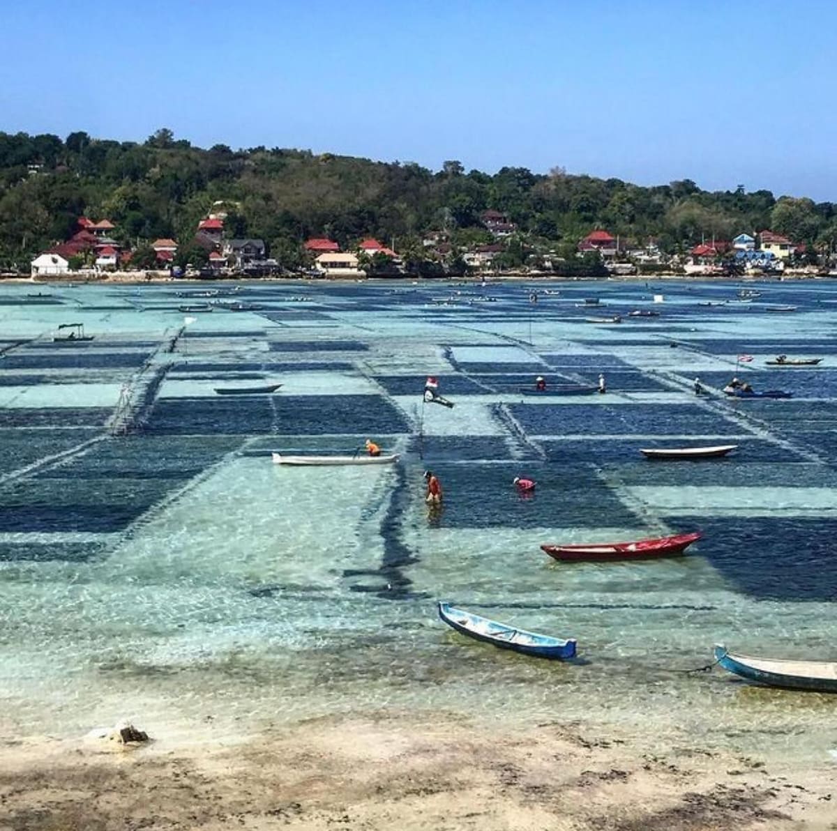 蓝梦岛（ Lembongan ） Kingfisher别墅（ Villa Kingfisher ） -单卧室海滨