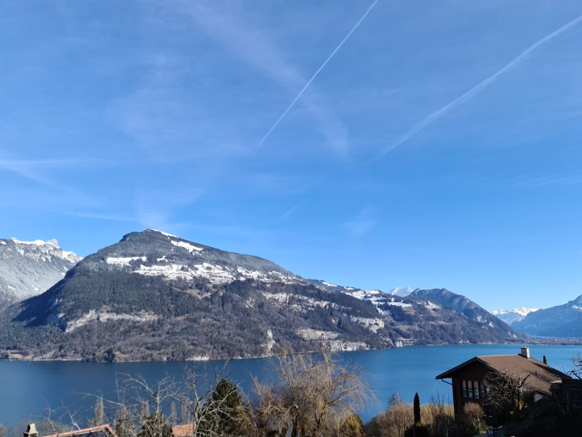 Schöne Wohnung mit Panorama-Blick auf See und Berg