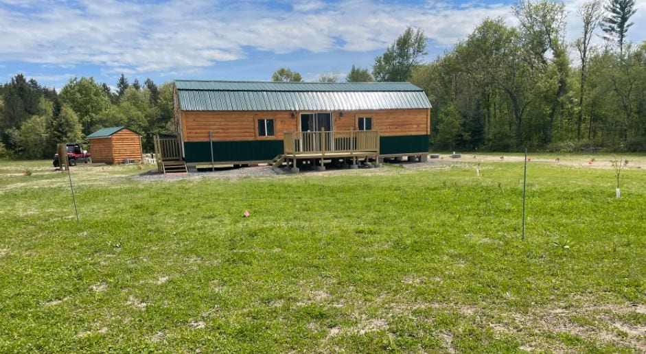 Black Bear Cabin