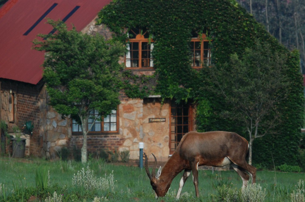 Mill stream Farm 5床石头小屋。