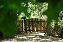 Alojamiento Entero Bosque, Piscina, Playa