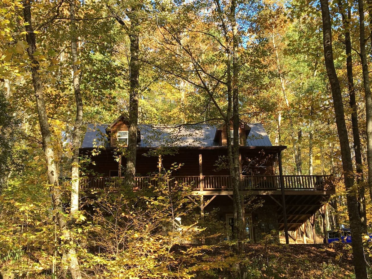 Cozy Mtn. Cabin, Modern Amenities, Dog-friendly!