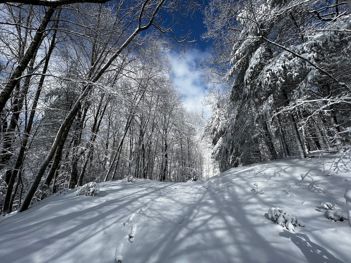 Cozy Mtn. Cabin, Modern Amenities, Dog-friendly!