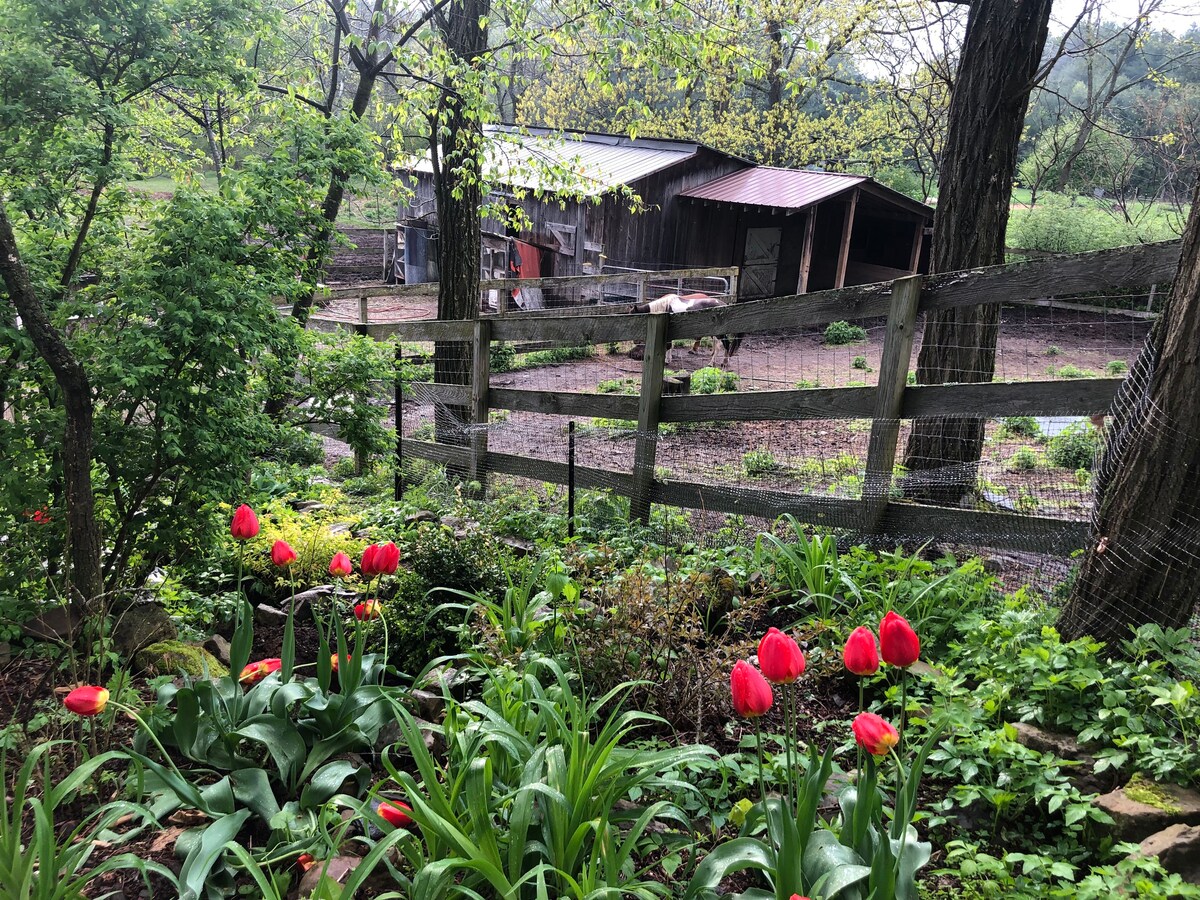 Bunk House Farm Stay