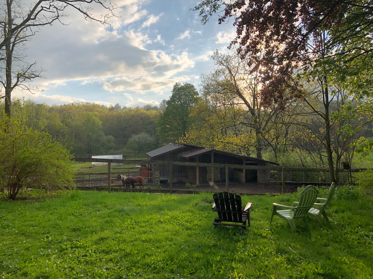 Bunk House Farm Stay