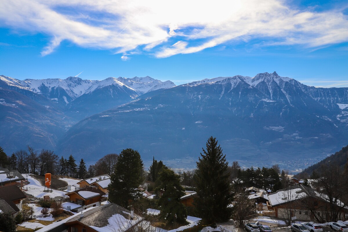 Splendide vue panoramique Vallée du Rhône et Alpes