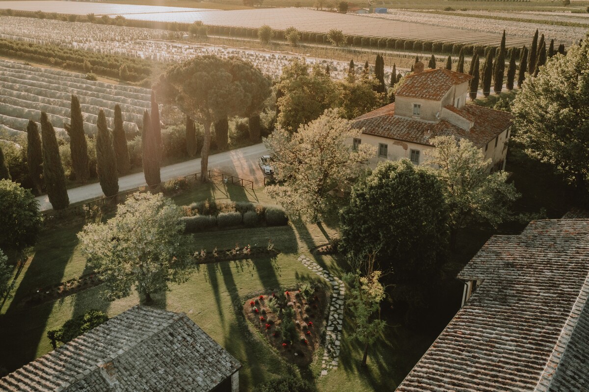 Farmhouse Tuscany | Terrace, pool & restaurant