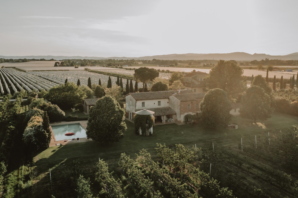 Farmhouse Tuscany | Terrace, pool & restaurant