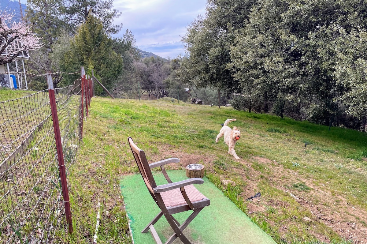 Luxe 3000sqft retreat w/private dog park Yosemite