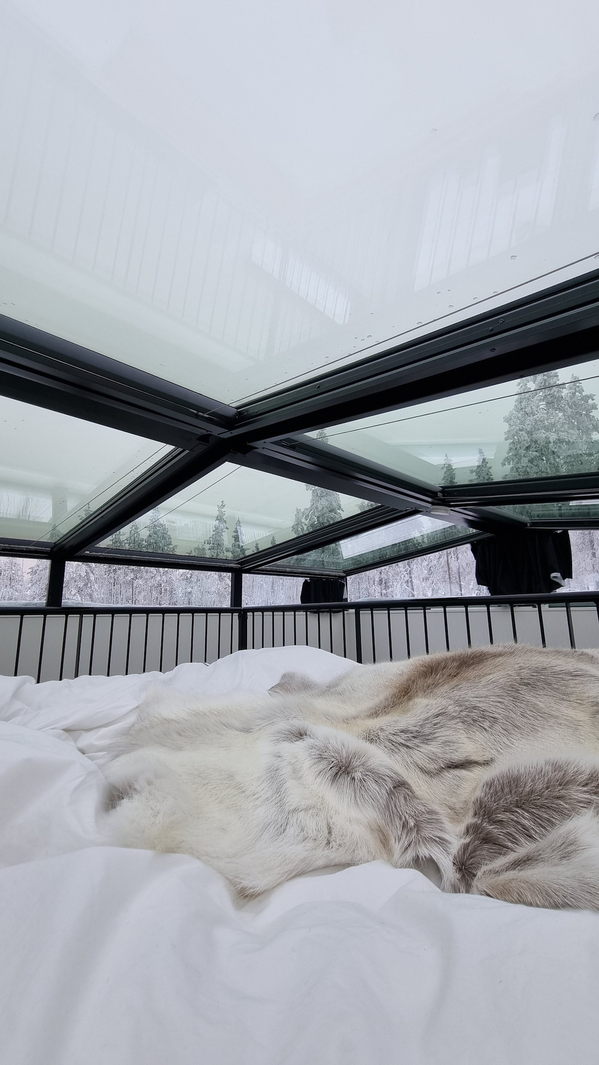 利维（ Levi ）全新玻璃屋顶冬季小木屋