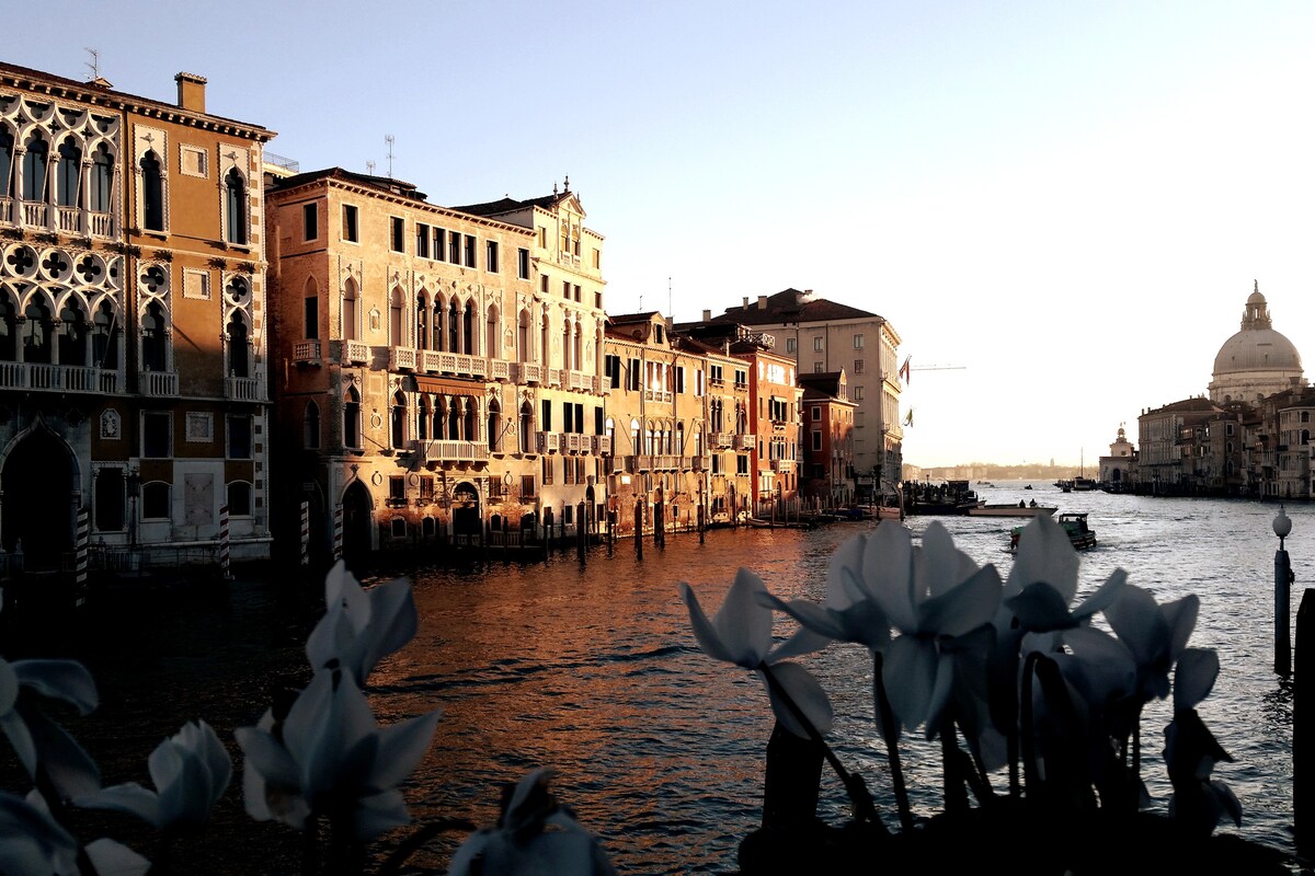 威尼斯，可欣赏大运河（ R9 ）的美景