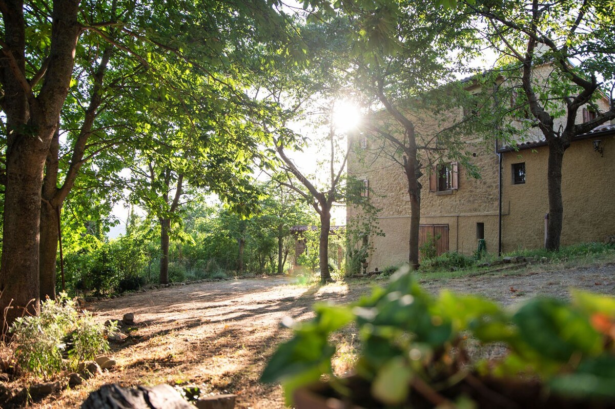 Casa Castora - Chalet con camino 1 - Rosa Rossa