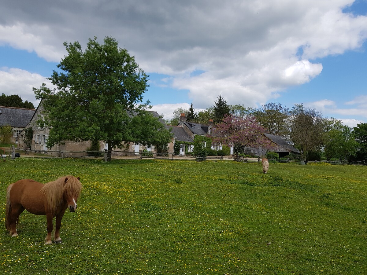 Logement 3 Pers sur un Domaine isolé avec Piscine