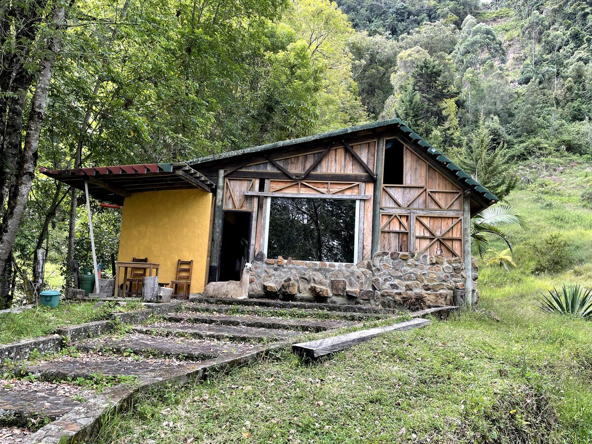Beautiful Cabin in Colombias Coffee Region