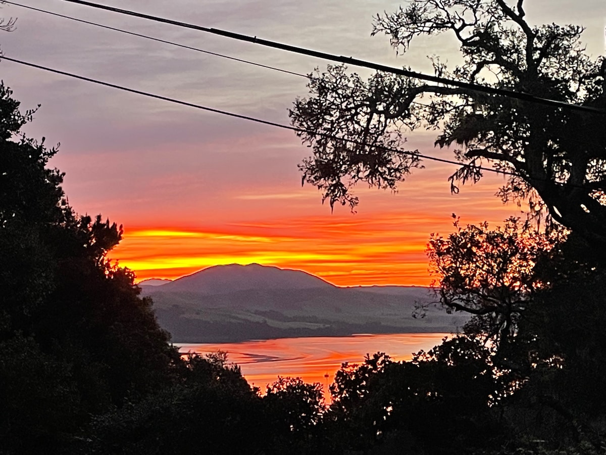 Magical Inverness Retreat, Walk to Tomales Bay