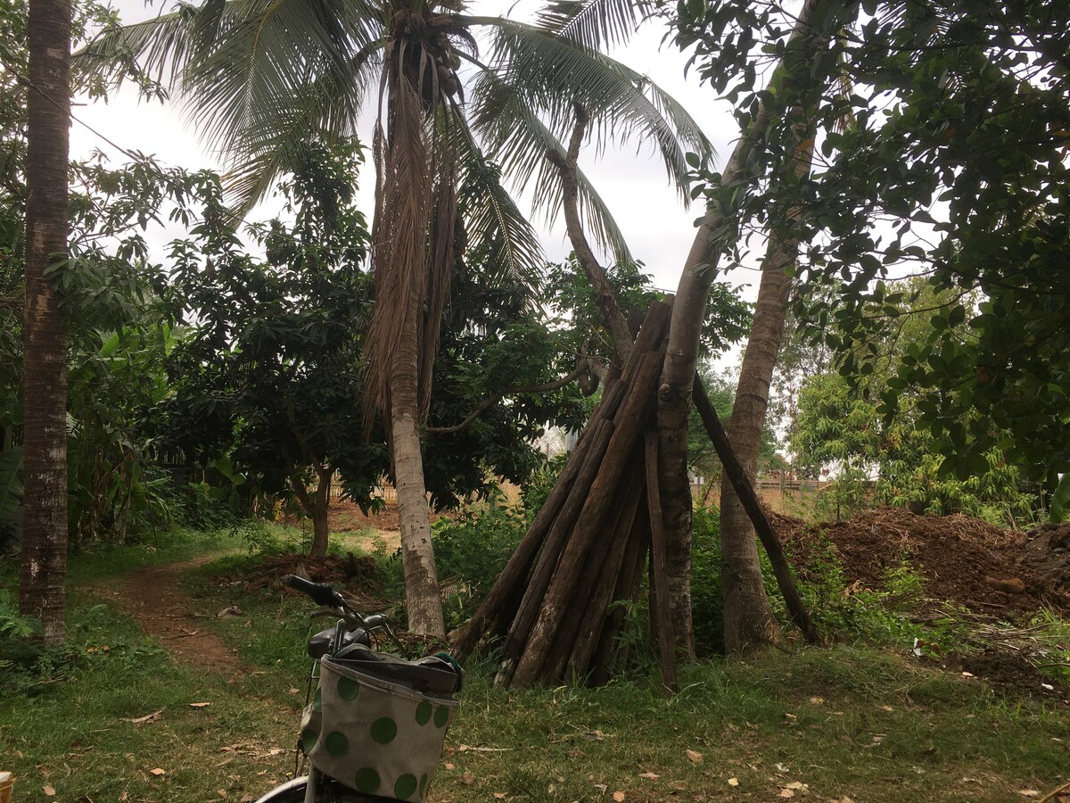 磅湛（ Kampong Cham ）乡村小房子，种有果树