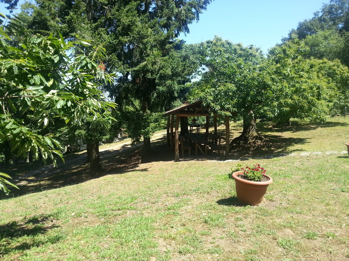 Deliziosa Casa nel Bosco, con giardino recintato