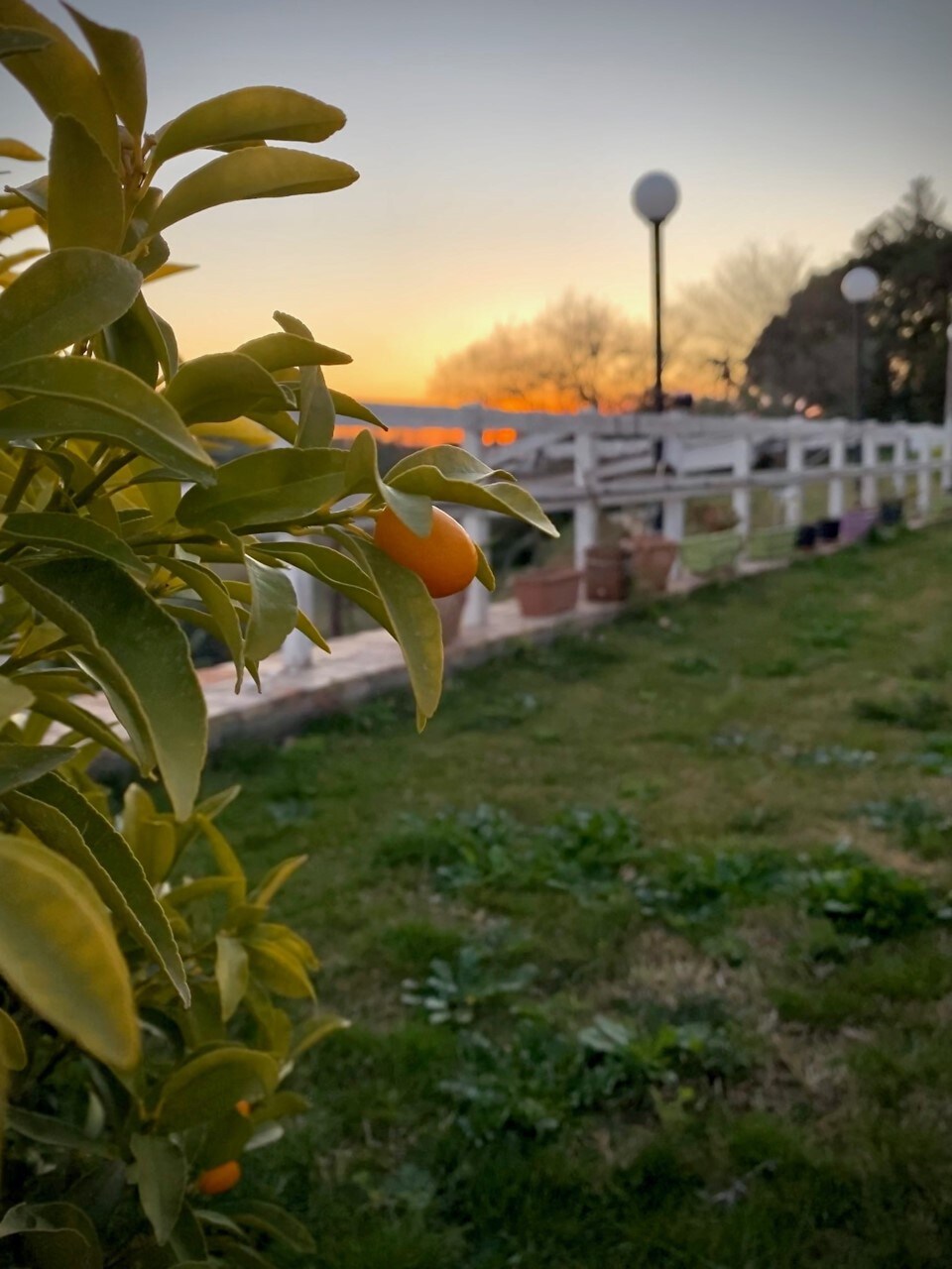 Villa Verde a 2 passi dal mare