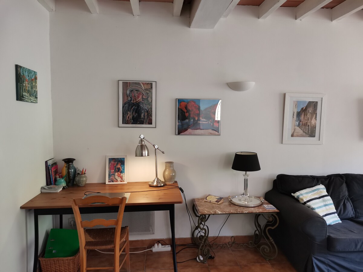 Sunny house in heart of Ceret with view & terraces