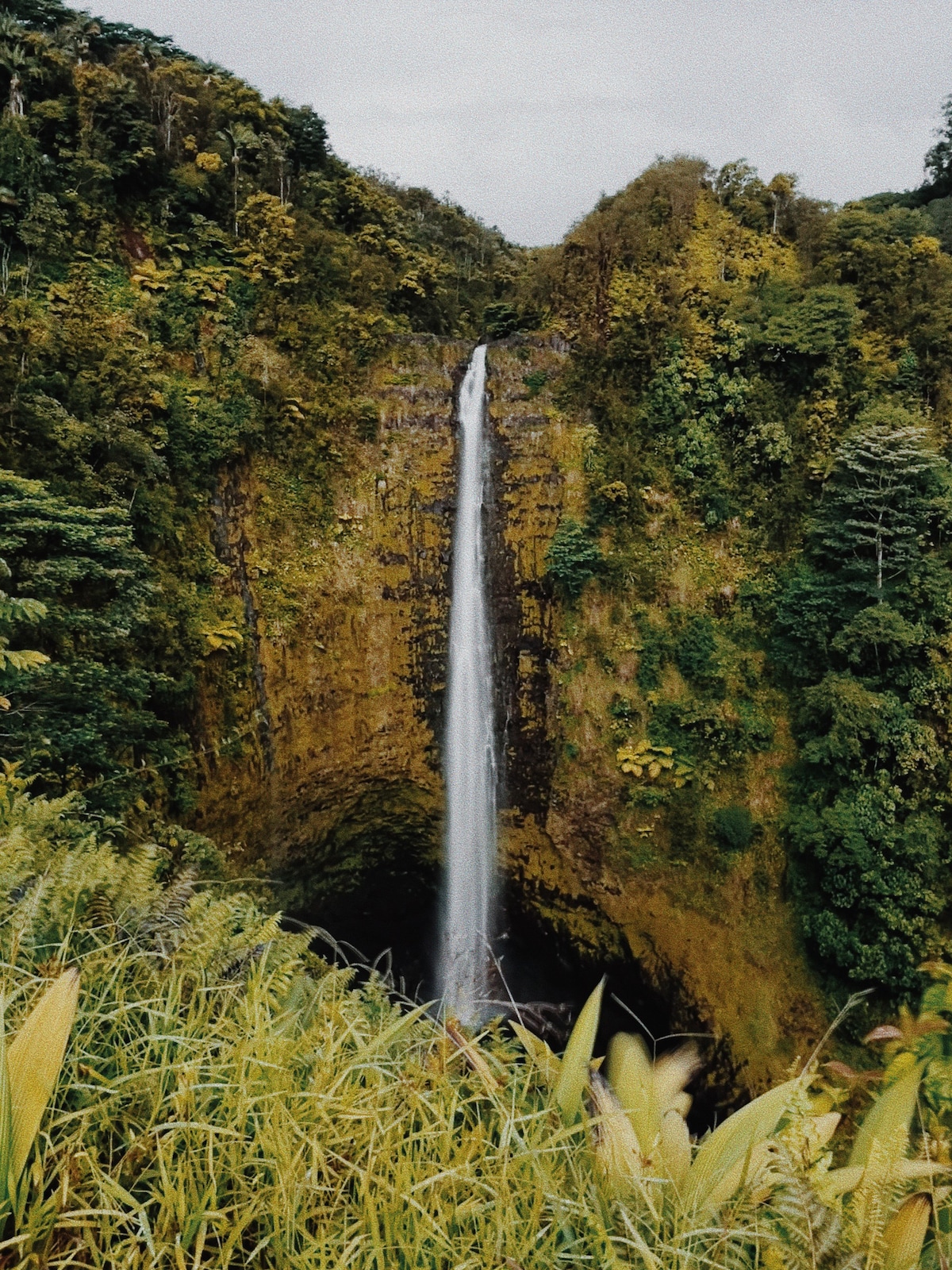 赤霞瀑布酒店（ Inn at Akaka Falls ） - 15分钟到希洛（ Hilo ） - 2号房