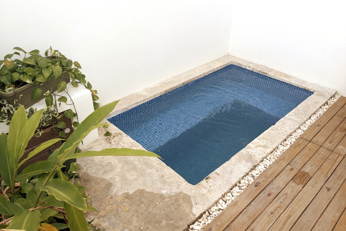 Casa con patio y piscina propios en Zona Colonial