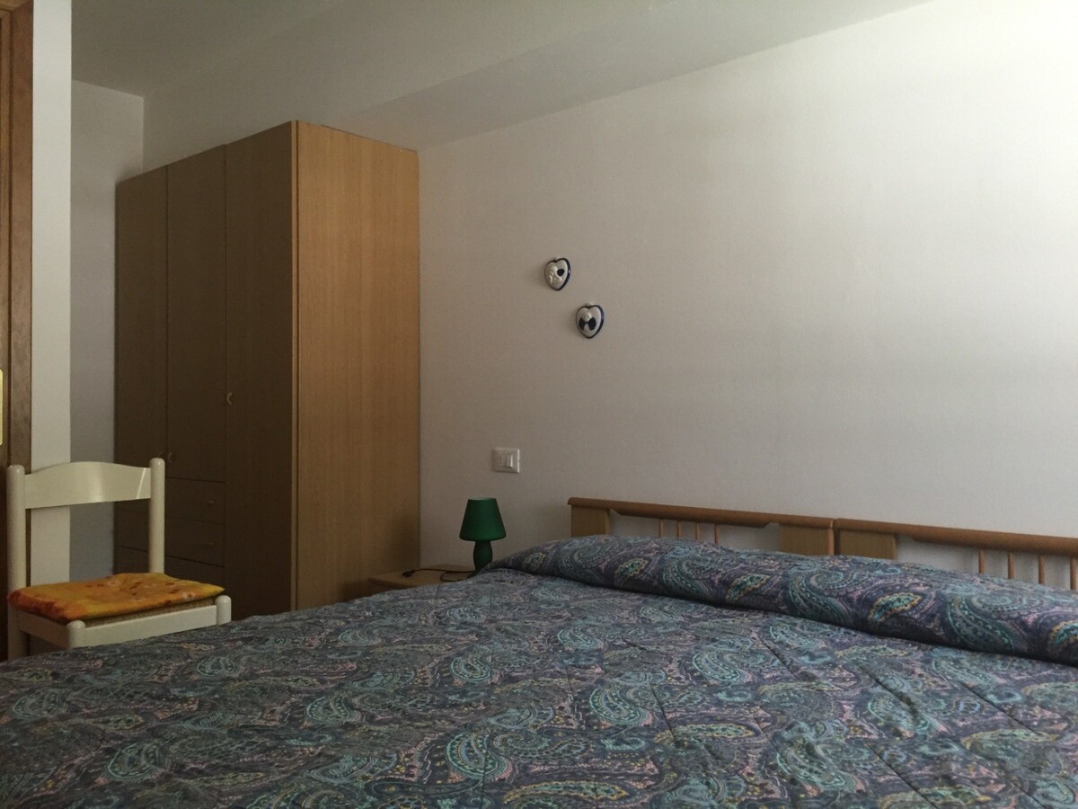 位于Fiera di Primiero市中心的双卧室小公寓
