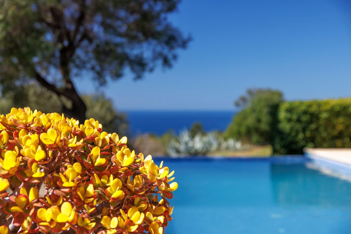 Belle maison Corse avec piscine / vue mer