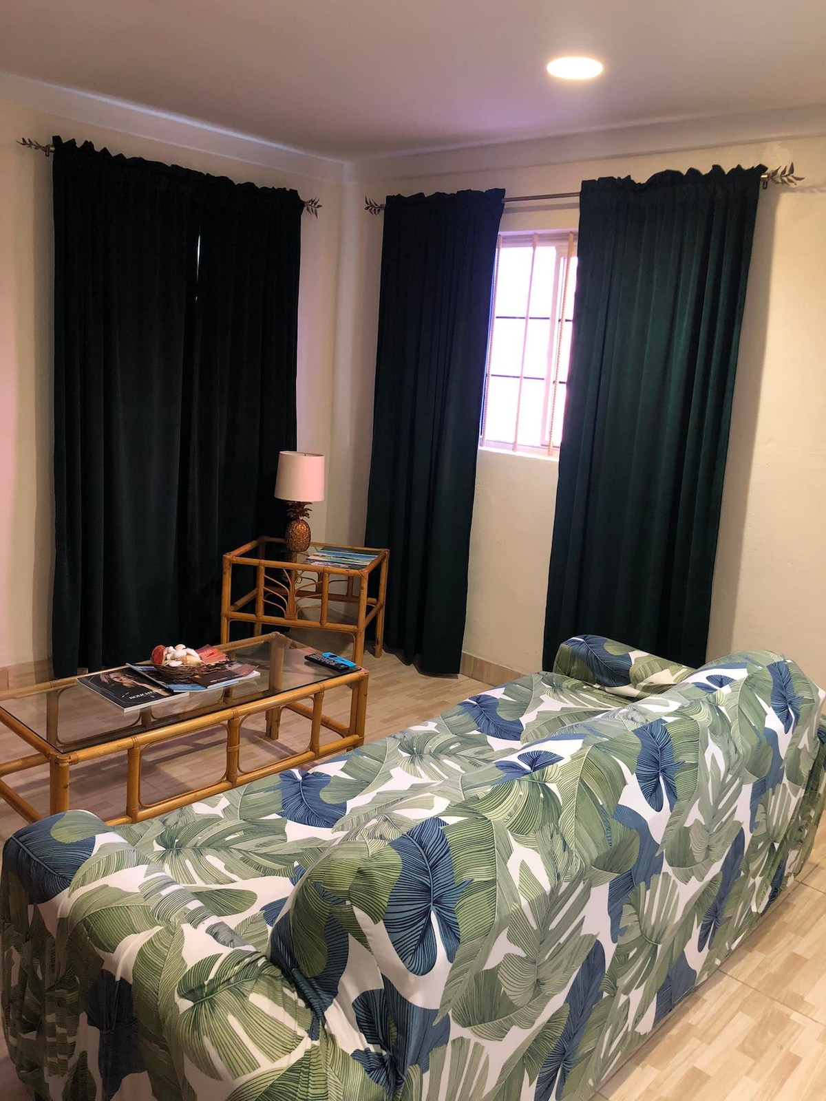 Gem of Georgetown -舒适干净的2卧室房屋