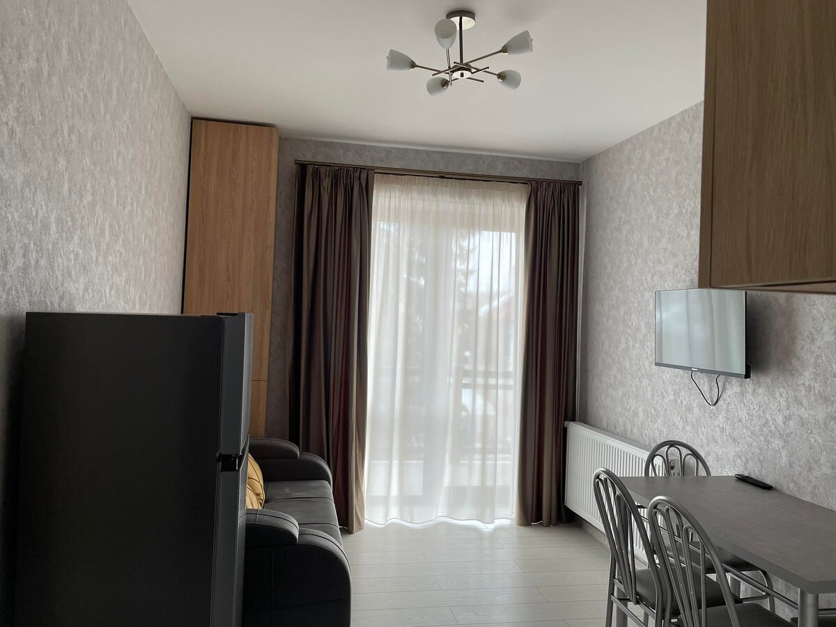 1-bedroom appartment in the centre of bakuriani 2