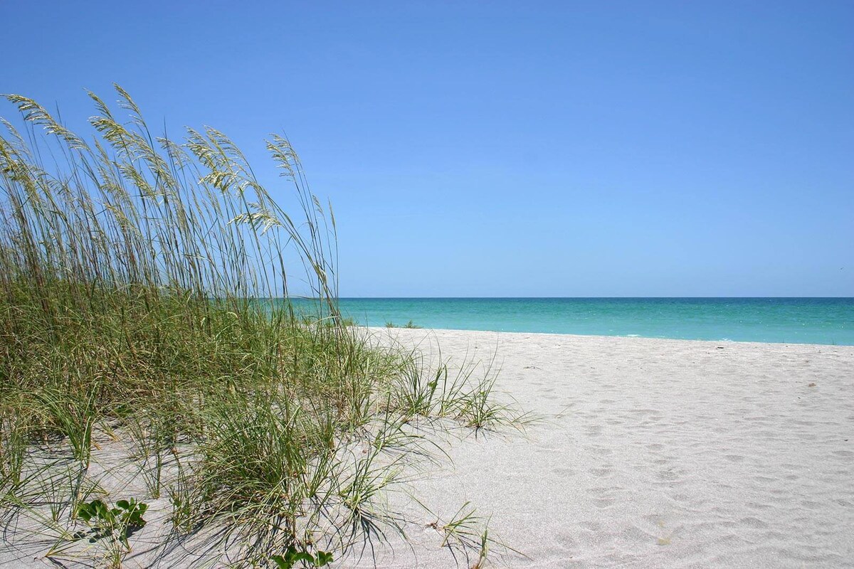 Professionally Cleaned Ocean Front Resort