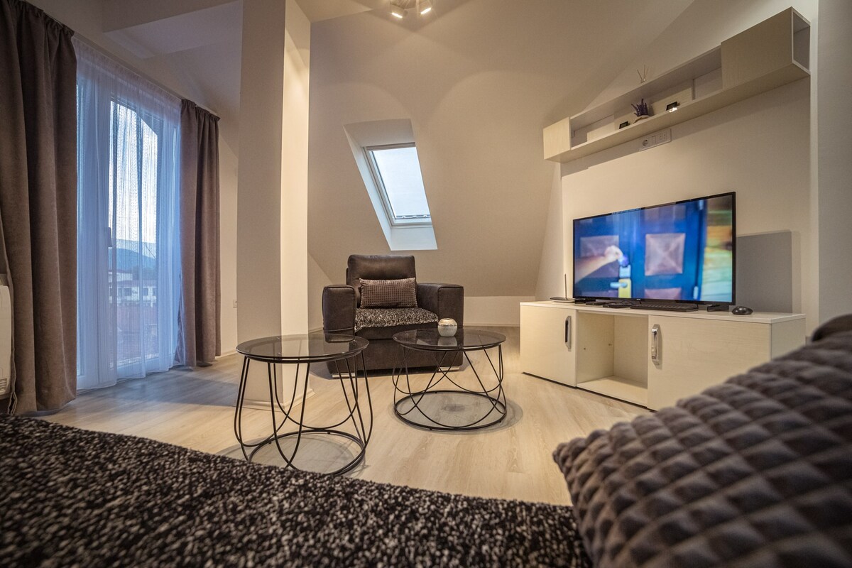 Apartment LUX 2