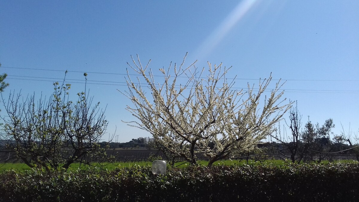 Masseria macchiarola la 5