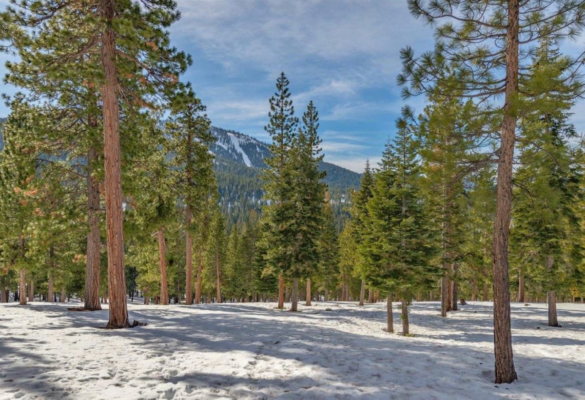 宁静的Northstar联排别墅，带山景。