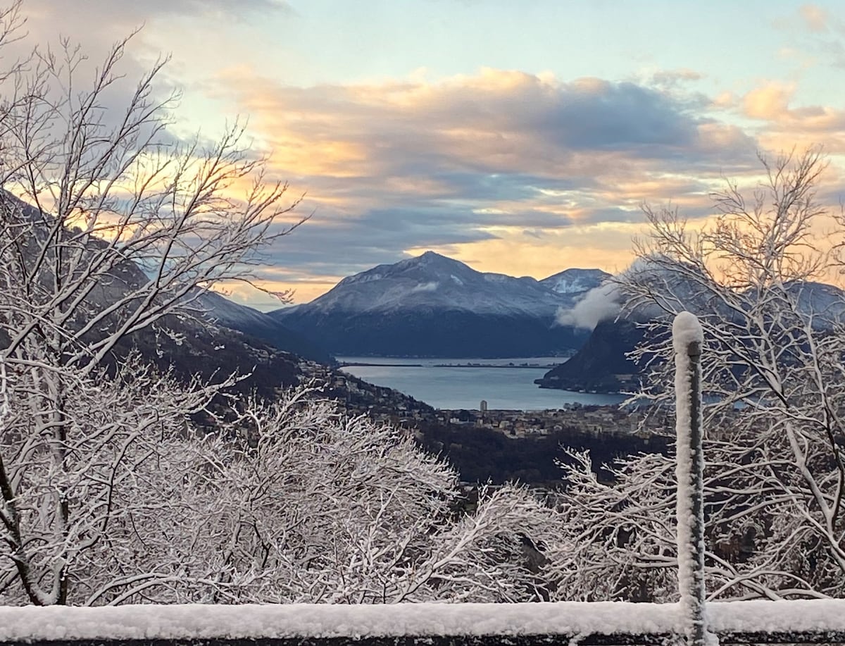 艺术家的湖景公寓