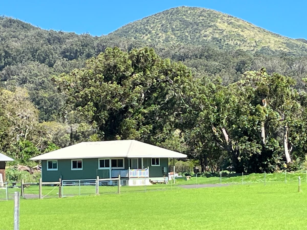 3 bedroom home on one acre in Waimea