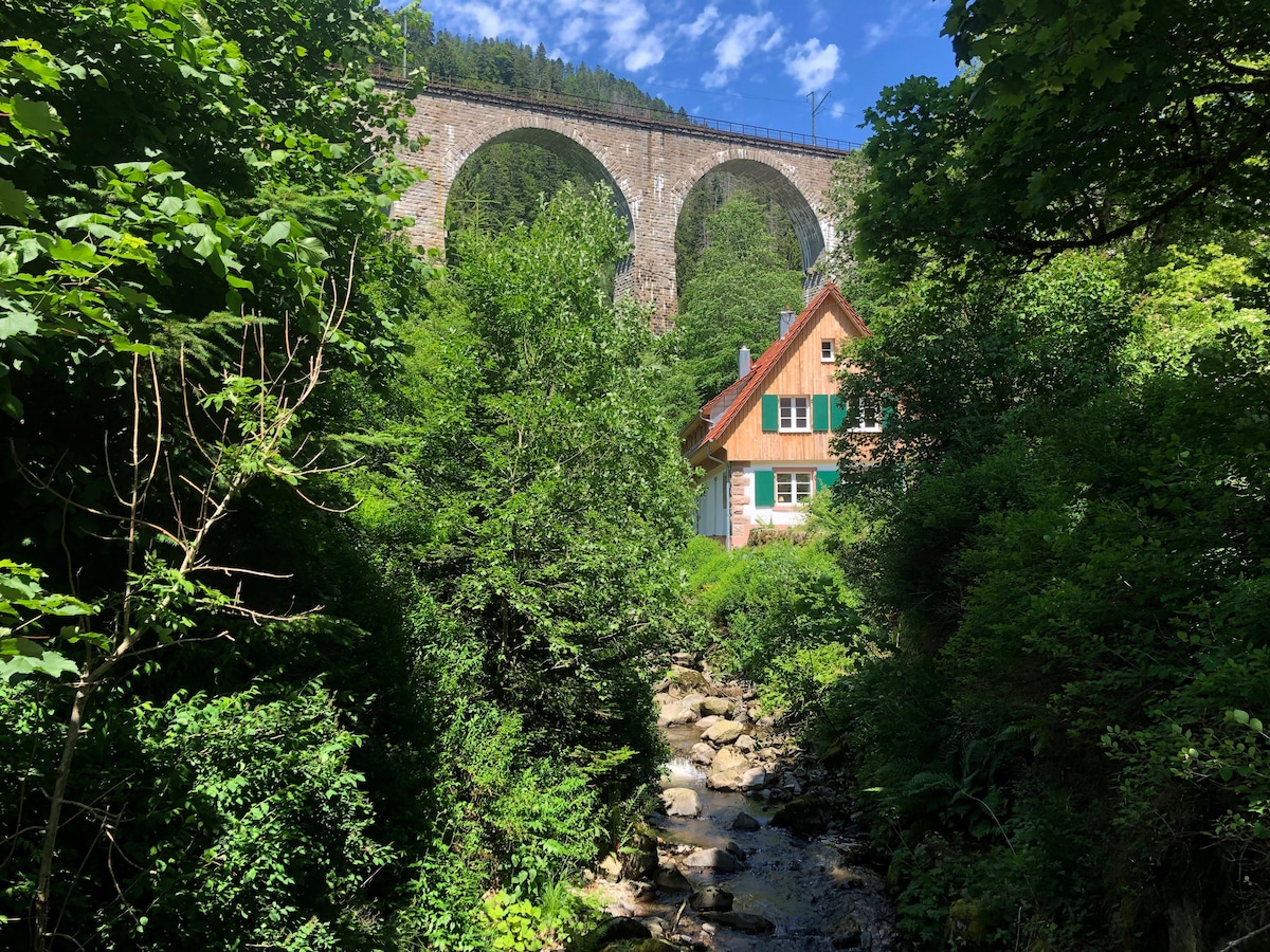 Ravenna Lodge -黑森林别墅Ravenna Gorge