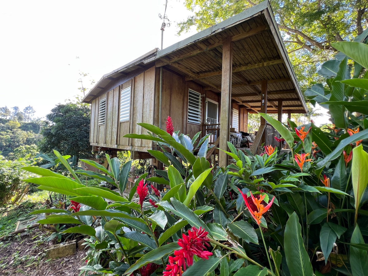 Micro-Finca Genjibre Rojo