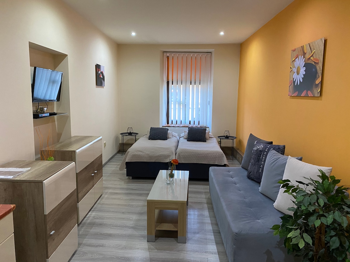 Hosťovský apartmán v centre mesta s parkovaním