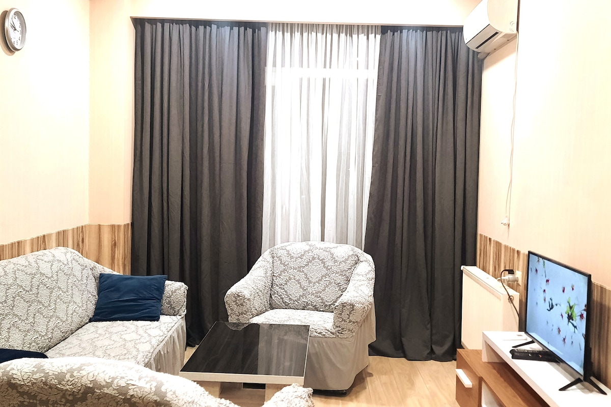 beautiful apartment for rent in tbilisi