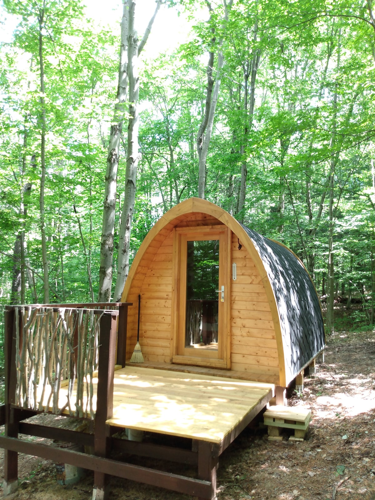 Camp Earth Connection的Lookout Pod Cabin