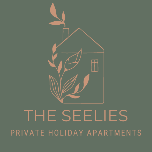 The Seelies -公寓式酒店-皇后小屋-双卧室公寓