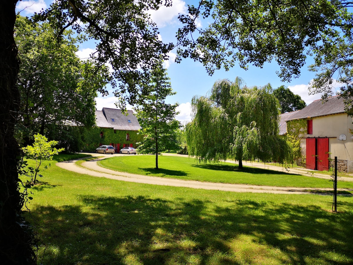 Manoir de l'Alleu - Chambre d'hôte