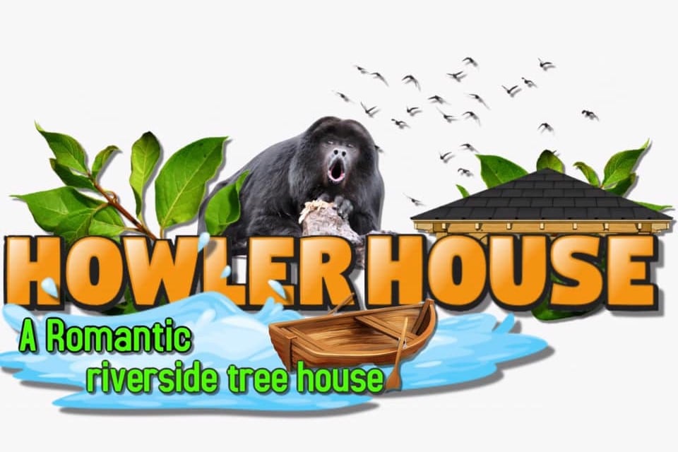 Howler House ：浪漫的河畔树屋