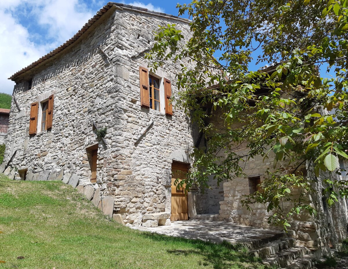 Rocca Castrignano. La cantina