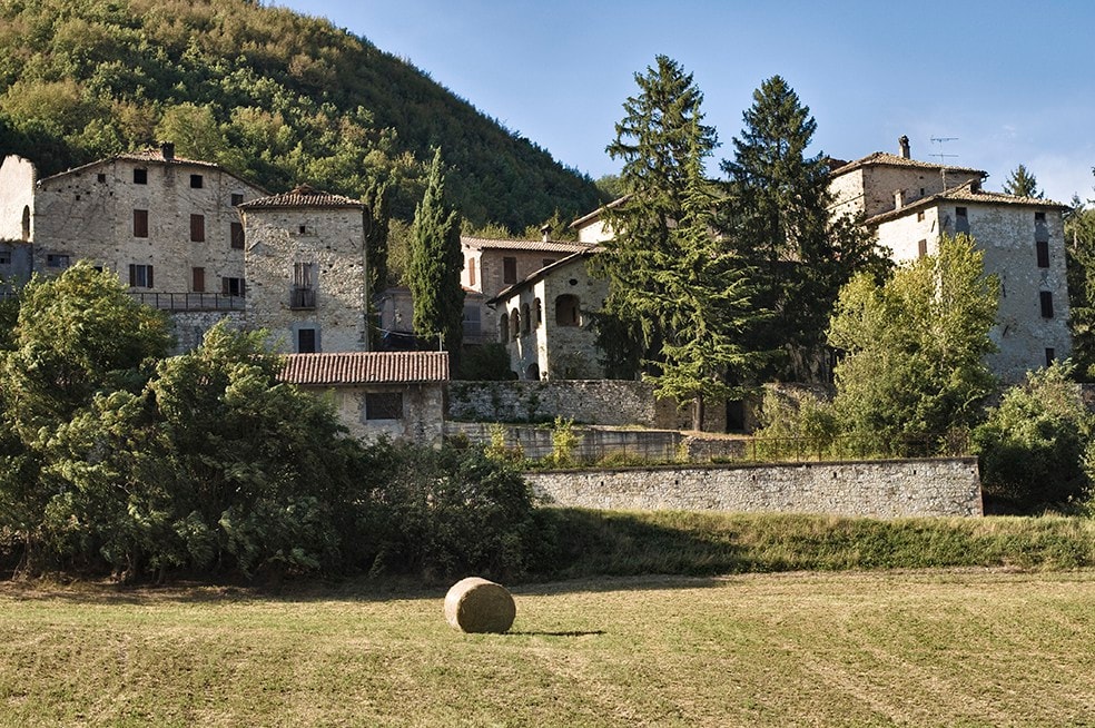 Rocca Castrignano. La cantina