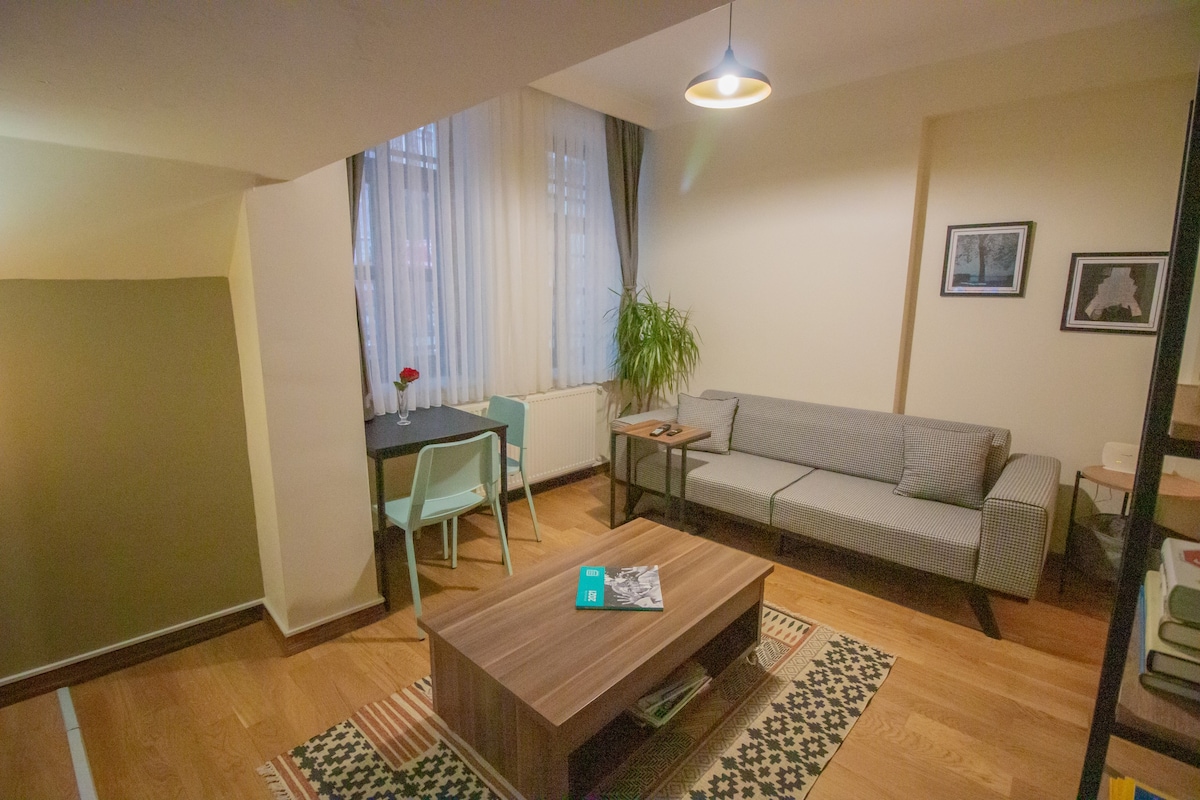 perfect location, 75m2 1+1 flat in the city center
