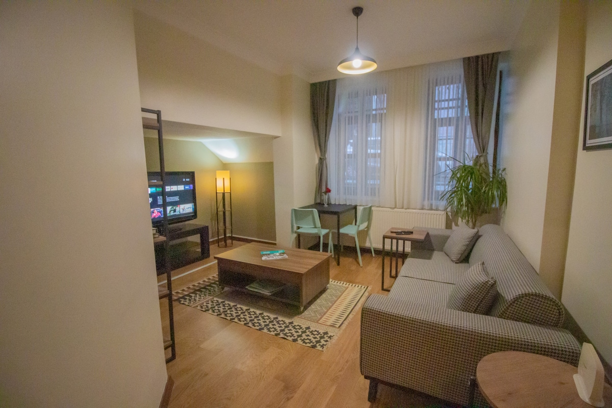 perfect location, 75m2 1+1 flat in the city center